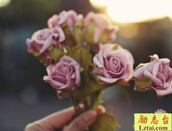 为了想要的生活拼尽全力的人生感悟语录说说大全
