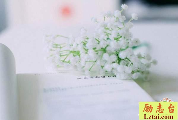 以后再也不见的说说伤感爱情语录：此生不见，平安惟愿