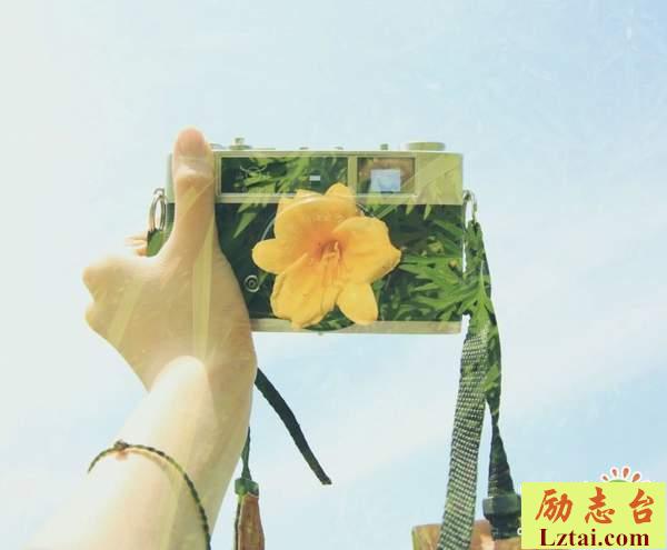 再见曾经的爱的句子伤感说说：谢谢曾经的你，谢谢曾经的爱