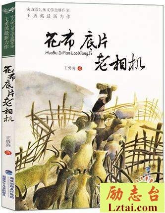 花布底片老相机读后感800字