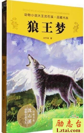 狼王梦读后感1000字