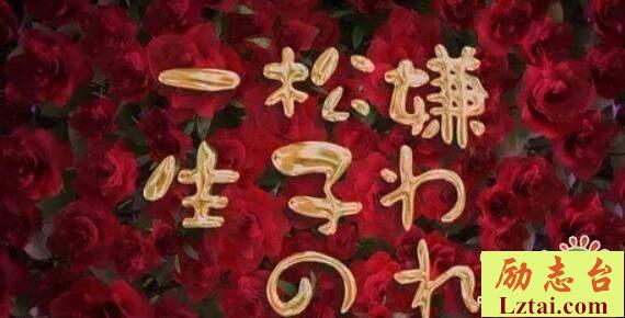 被嫌弃的松子的一生影评