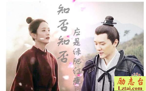 知否知否应是绿肥红瘦观后感1400字范文欣赏