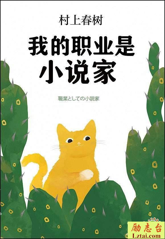 我的职业是小说家读后感范文1000字