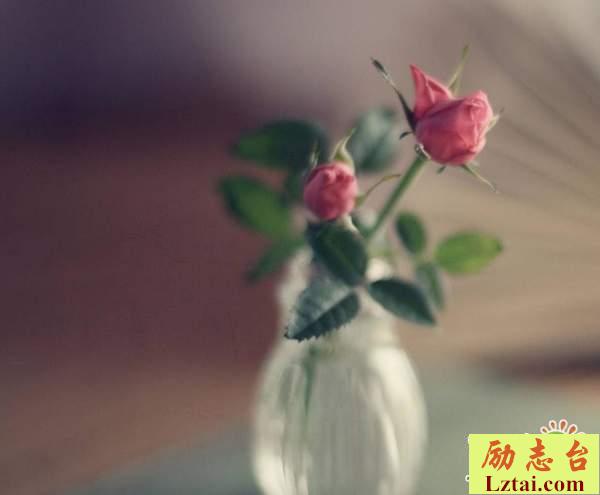 回忆青春年少美好的句子说说：山高水长，愿我们都好