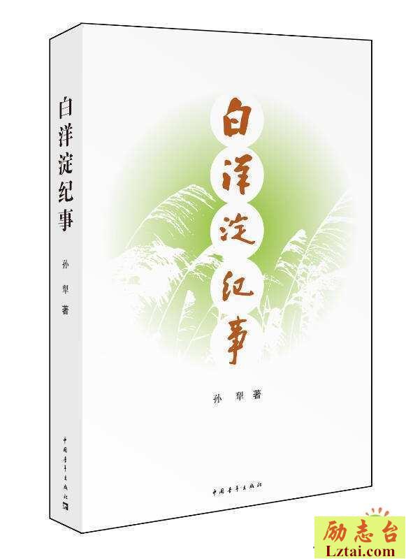 白洋淀纪事读后感500字精选2篇