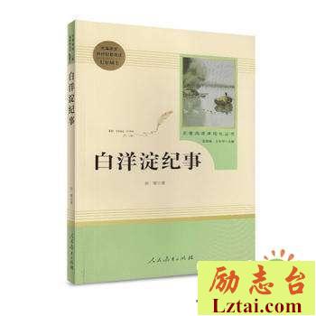白洋淀纪事读后感500字精选2篇