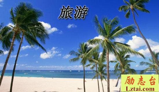 小学生评语五篇 图1