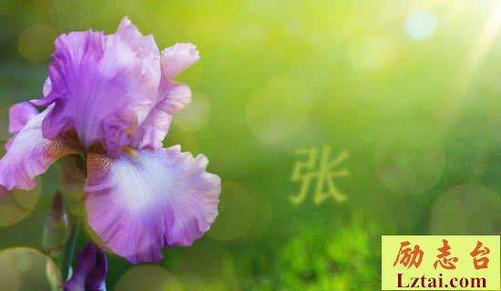 张岱西湖七月半原文及译文赏析 图1