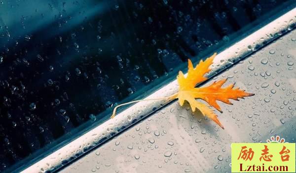 一切都已云烟成雨的爱情感悟伤感说说大全