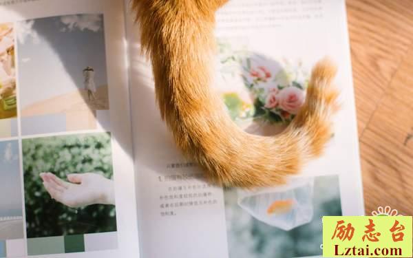 一个人成长蜕变的经典语录：成长学会的是成熟