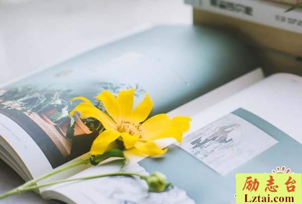 自己的心只有自己懂的心情说说：真好，我奋不顾身爱过