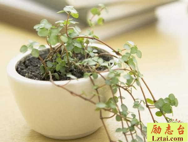 已不是当年模样感叹时光说说心情：生活有了目标，未来自己会来