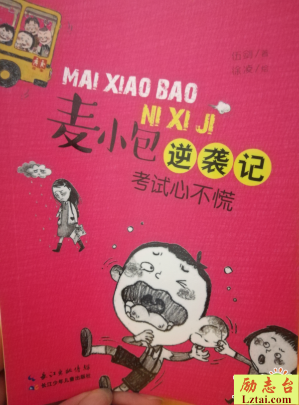 考试心不慌读后感600字欣赏