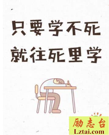 考试心不慌读后感600字欣赏