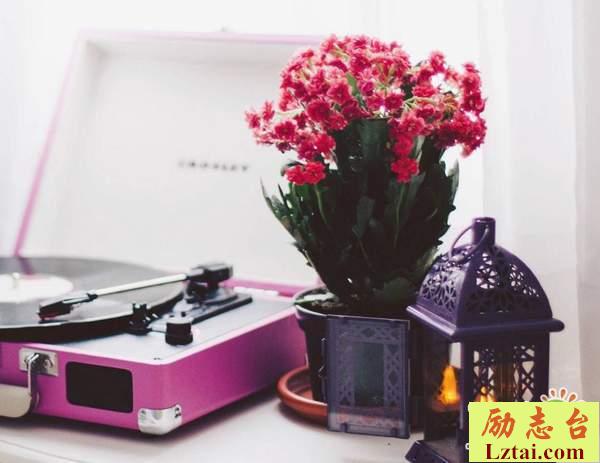 一个人习惯孤独的句子说说：付出的越多获得越少