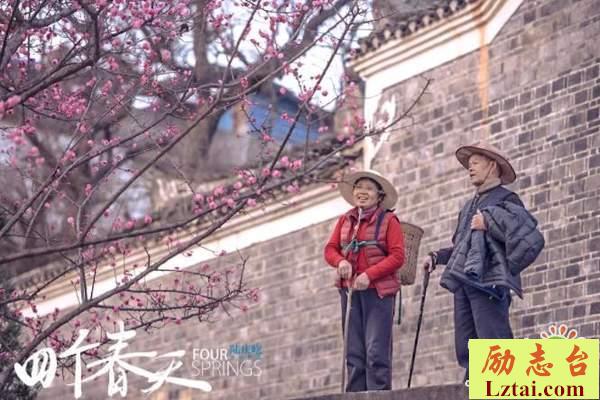 四个春天观后感影评1600字