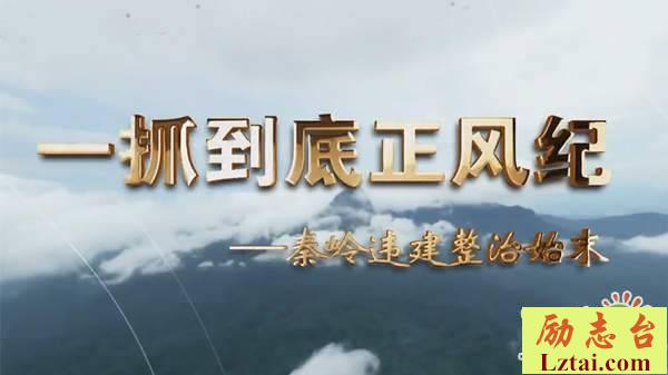 一抓到底正风纪秦岭违建整治始末观后感精选7篇