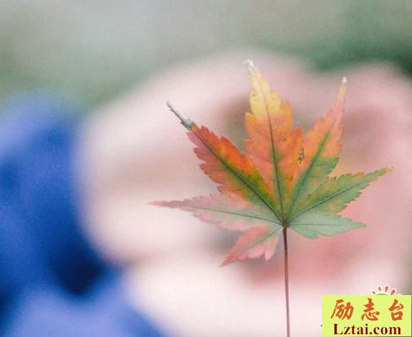 学着放手的说说心情语录：愿意等你，只因为那个人是你