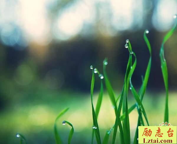 追寻人生的意义说说心情语录：不要辜负自己和他人的期待
