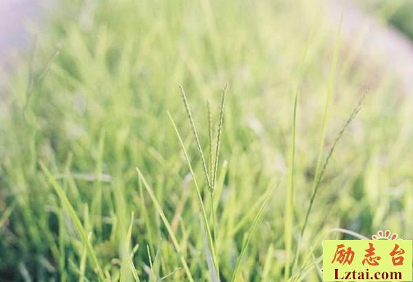 追寻人生的意义说说心情语录：不要辜负自己和他人的期待