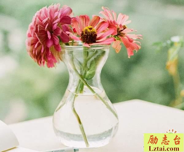 相濡以沫不如相忘于江湖的爱情经典语录说说欣赏