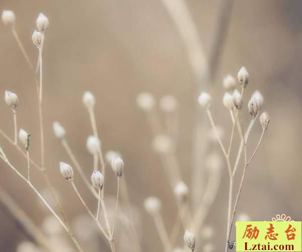 珍惜身边的人的情感语录说说：时间会留下最真的人