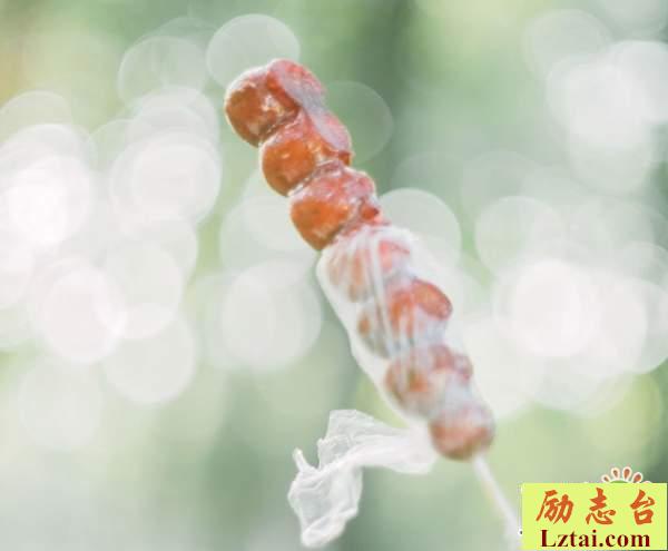 青春满是回忆的情感说说语录：愿此刻彼此安好