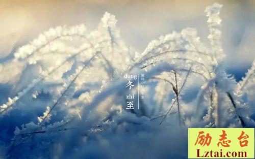 冬至的诗句大全