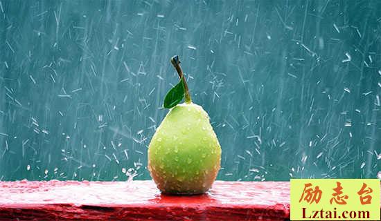 《雨霖铃》全诗译文及赏析 图1