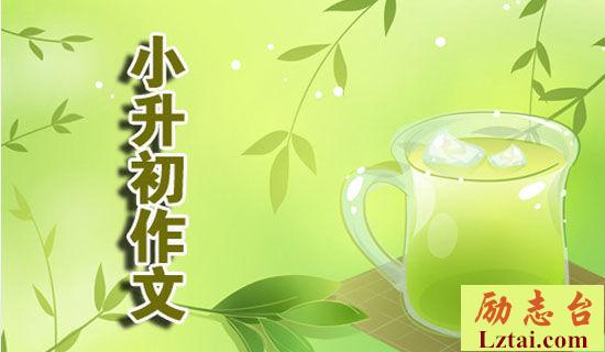 小升初之石头记打油诗 图1