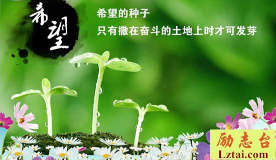 希望打油诗 图1