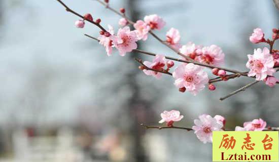 梅尧臣介绍及词作鉴赏 图1