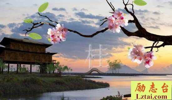 《桂枝香_观木樨有感,寄吕郎中》词作鉴赏 图1
