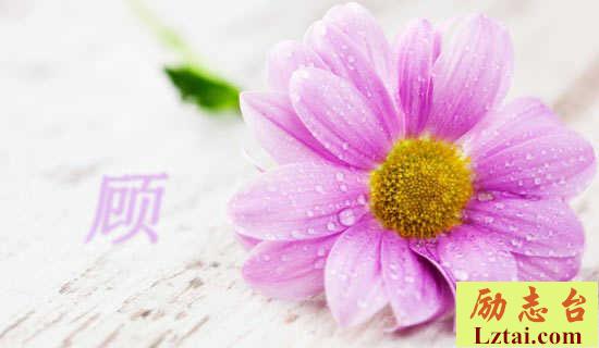 顾况《囝》诗词鉴赏 图1