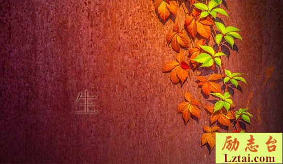 《生查子》诗词鉴赏 图1