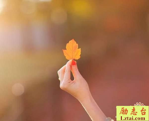 余生一起走的情感语录说说：春风十里，都不及你
