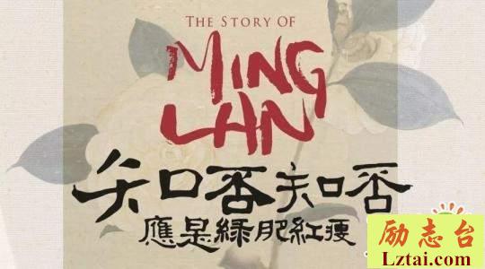 知否知否应是绿肥红瘦大结局观后感