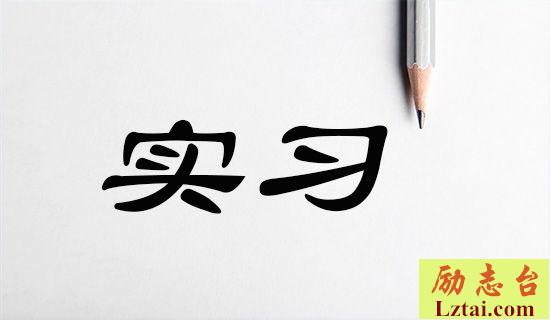 实习班主任述职报告范文 图1