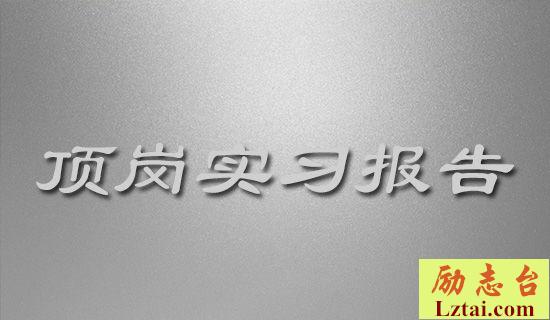顶岗实习的岗位技术工作报告范文 图1