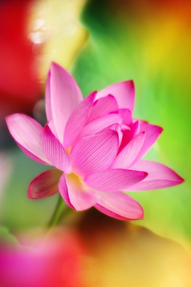 感悟人生的经典禅语带图片，句句精华，让你看破红尘！ 图2