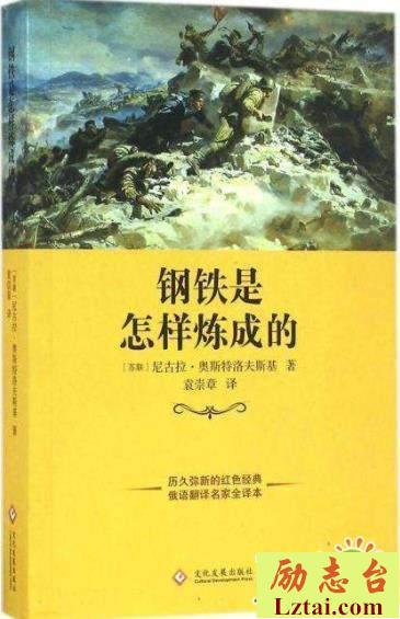 钢铁是怎样炼成的读后感400字