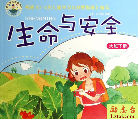 幼儿园大班安全工作计划