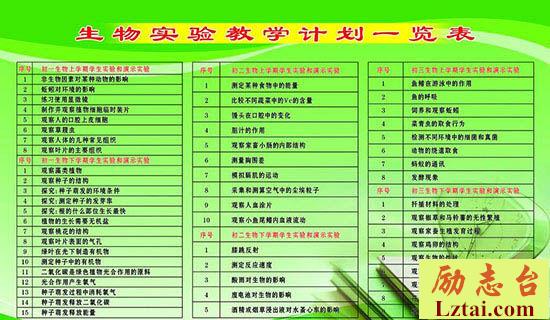 五年级美术教学工作计划 图1