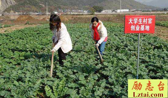 出资50万创业失败教训总结范文 图1