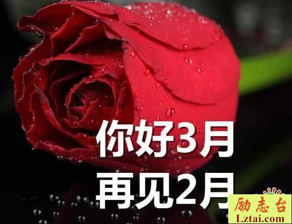 2月再见3月你好的句子说说心情语录大全