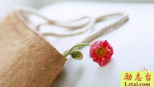 在逆境中成长的感悟人生语录：拍掉身上的泥土，再次跑起来