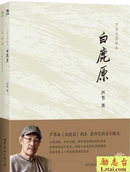 白鹿原读后感精选1000字