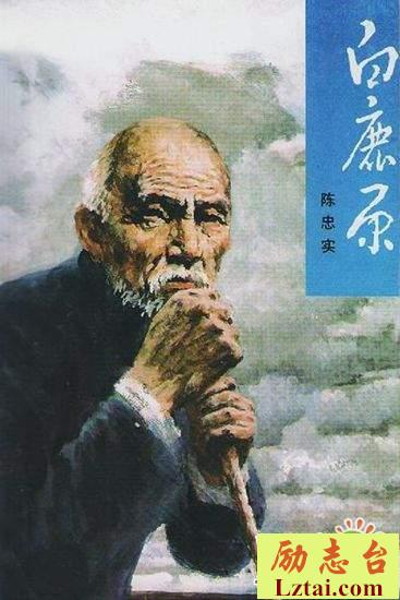 白鹿原读后感精选1000字