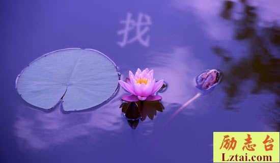 《找工作》打油诗 图1